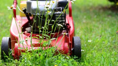 lawn rental equipment