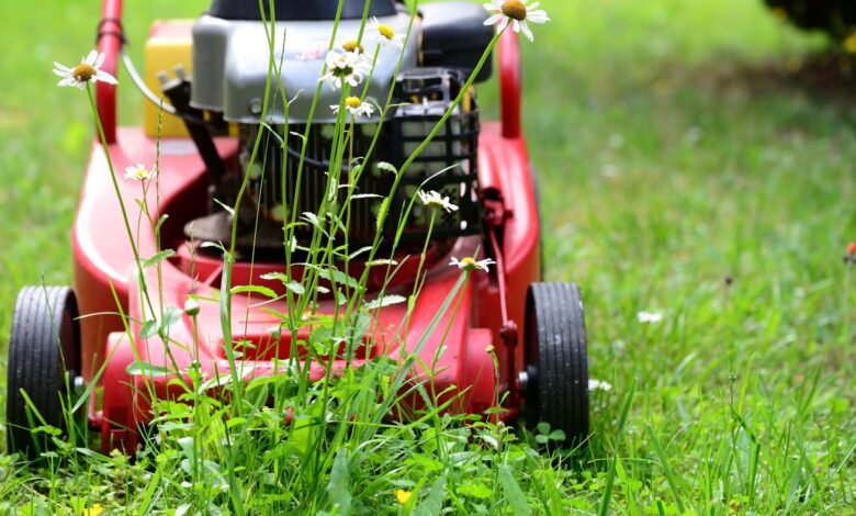 lawn rental equipment