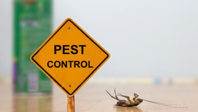 emergency pest control