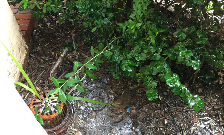 flooded backyard