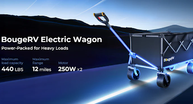 Folding Wagon